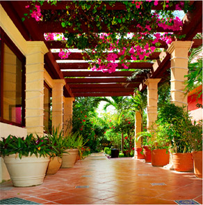 Modern balcony garden