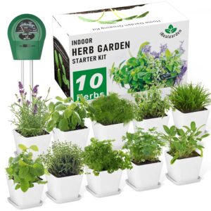 Indoor Herb Garden Kit β 10 Non-GMO Herb Seeds with Soil, Pots & Moisture Meter β Easy Windowsill Gardening Starter Set β Unique Gift for Gardeners, Home Chefs & Families