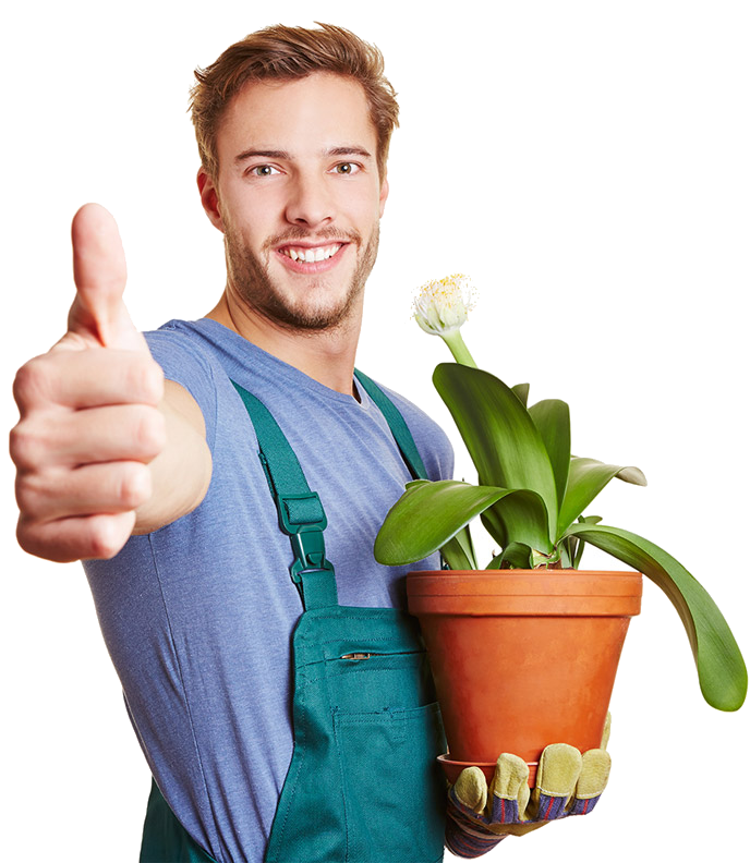 Urban gardener with plants